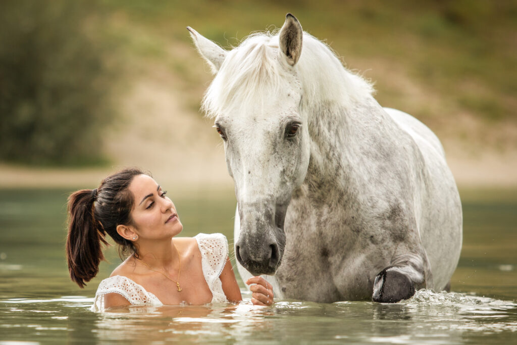 Janina Eberle Tierfotografie geht auch mit Pferden ins Wasser