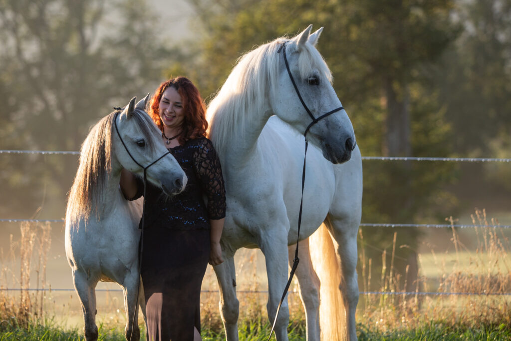 vorher Pferdeshooting Janina Eberle Tierfotografie