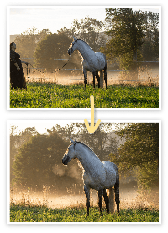 Pferdeshooting, Tierfotografie