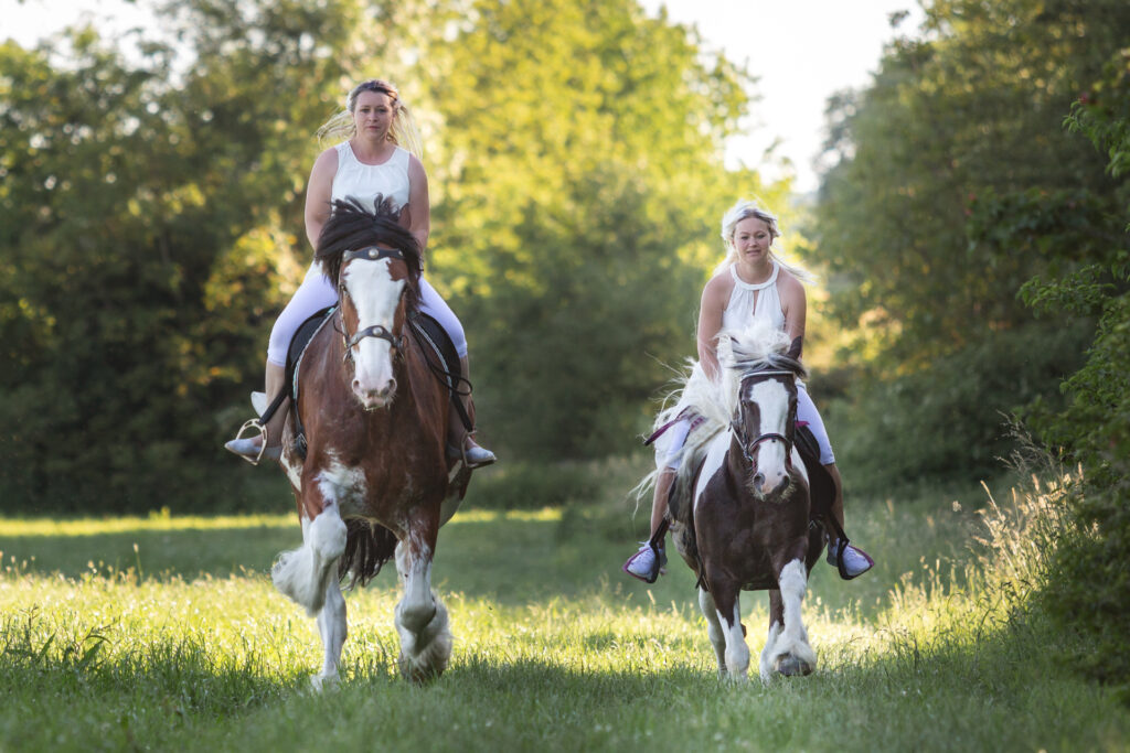 Pferdeshooting Janina Eberle Tierfotografie