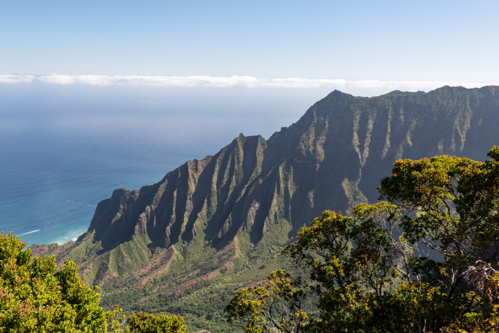 Janina Eberle Tierfotografie Hawaii Kaua'i die Garteninsel