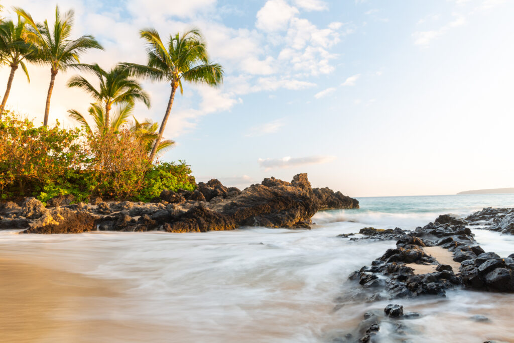 Janina Eberle Tierfotografie Hawaii Maui die magische Insel