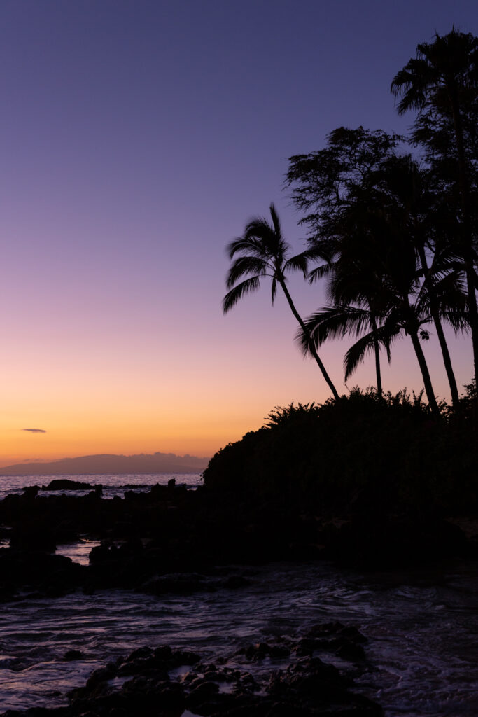 Janina Eberle Tierfotografie Hawaii Maui die magische Insel