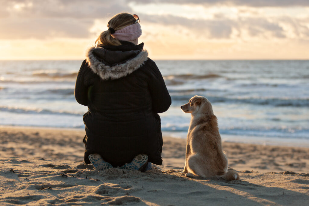 Janina Eberle Tierfotografie Hundeshooting mit Dolly einem Tierschutzhund