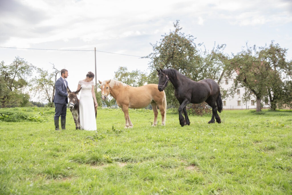 After Wedding Shooting Bauernhof Janina Eberle Tierfotografie