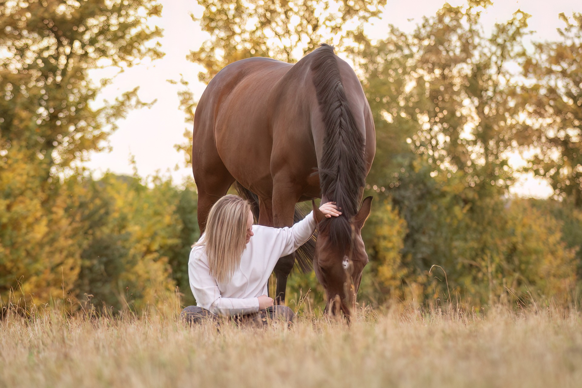 Fotoshooting Pferd Janina Eberle Tierfotografie