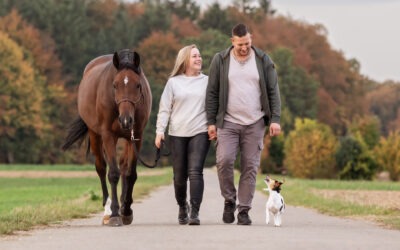 Fotoshooting mit Hund und Pferd