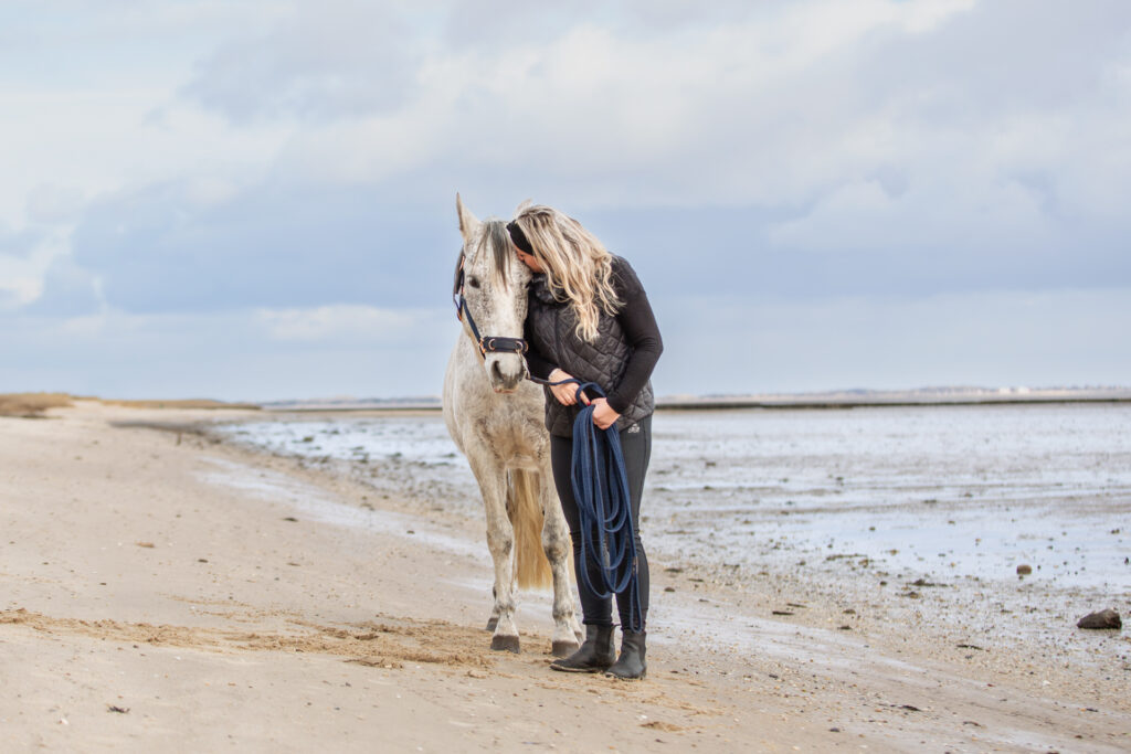 Pferdeshooting Janina Eberle Tierfotografie
