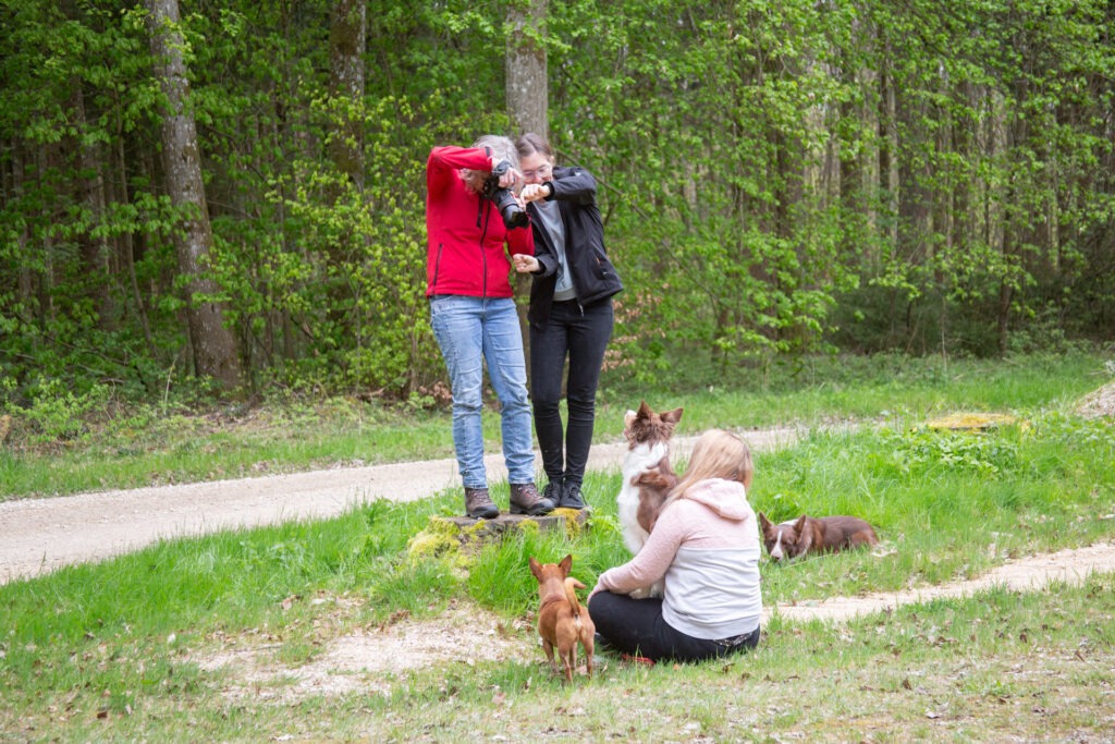 Freundinnenshooting Janina Eberle Tierfotografie