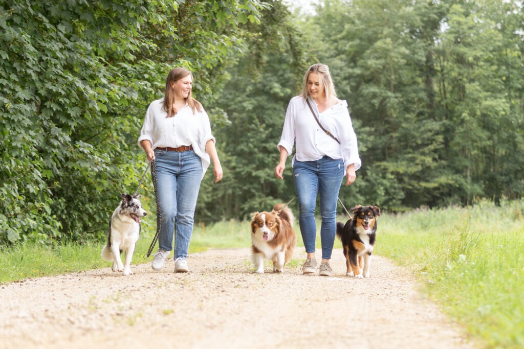 Hunderunde mit der besten Freunding Janina Eberle Tierfotografie