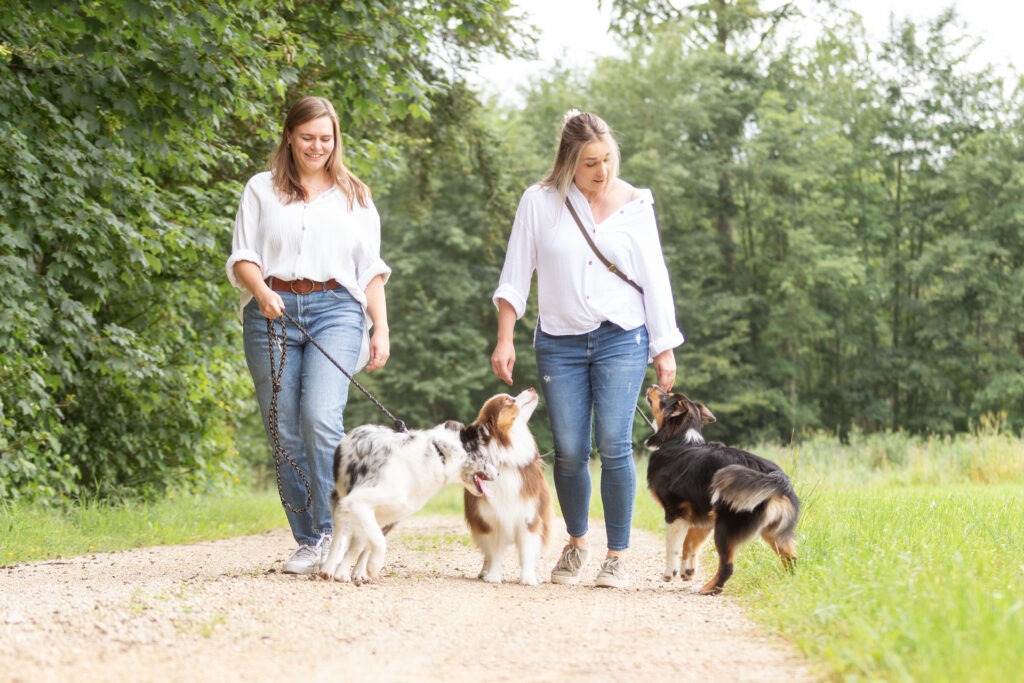 Hunderunde mit der besten Freunding Janina Eberle Tierfotografie