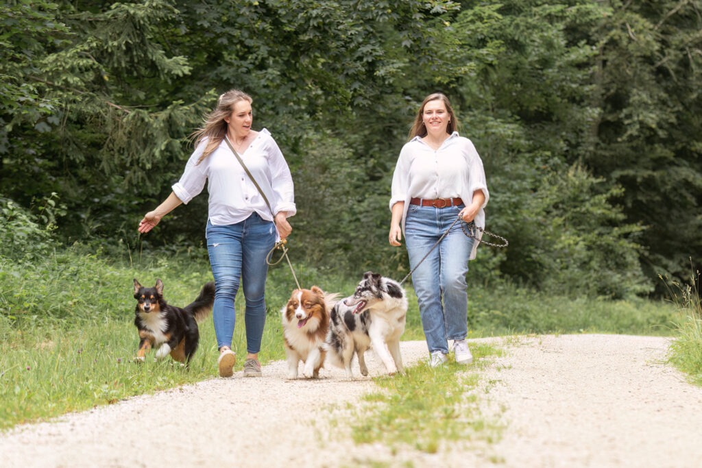 Hunderunde mit der besten Freunding Janina Eberle Tierfotografie