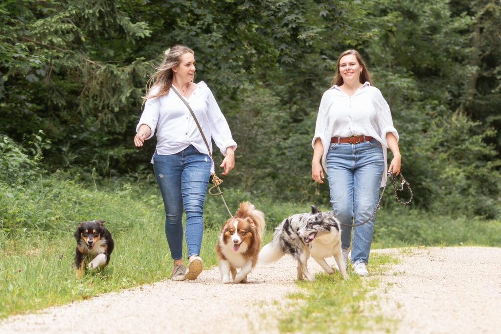 Hunderunde mit der besten Freunding Janina Eberle Tierfotografie