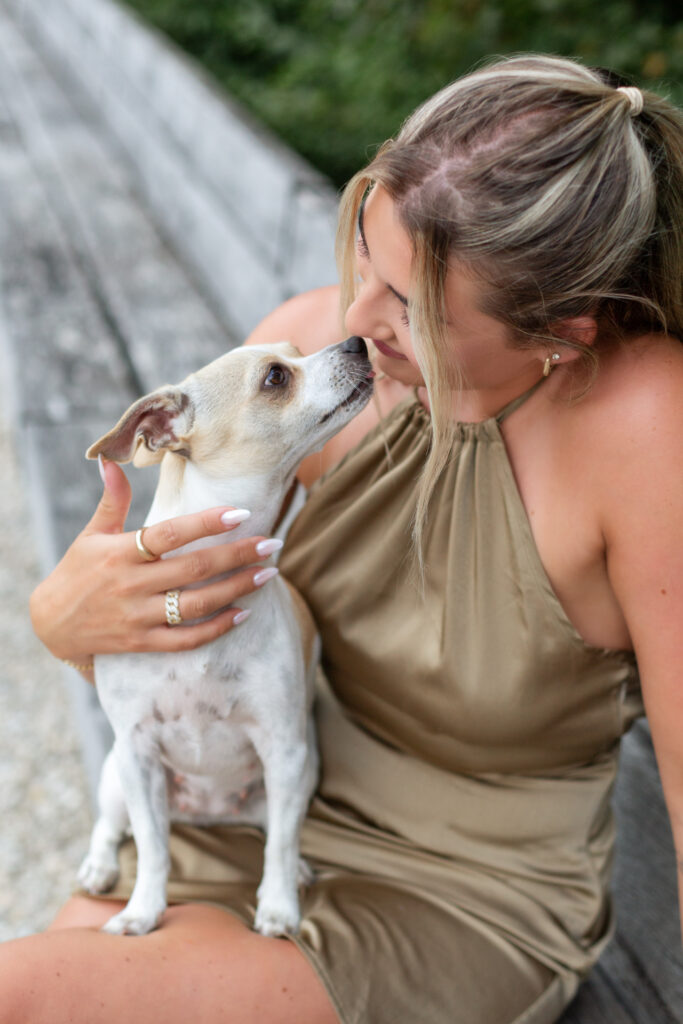 Hundeshooting mein Hund kann nichts Janina Eberle Tierfotografie