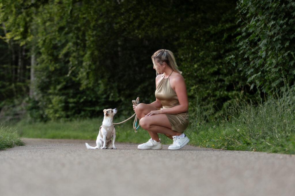 Hundeshooting mein Hund kann nichts Janina Eberle Tierfotografie