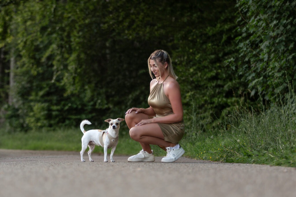 Hundeshooting mein Hund kann nichts Janina Eberle Tierfotografie