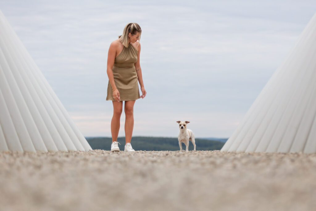 Hundeshooting mein Hund kann nichts Janina Eberle Tierfotografie