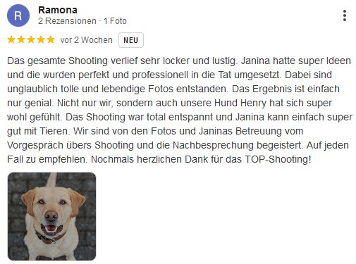 Feedback Stadtshooting Ehingen Donau Janina Eberle Tierfotografie