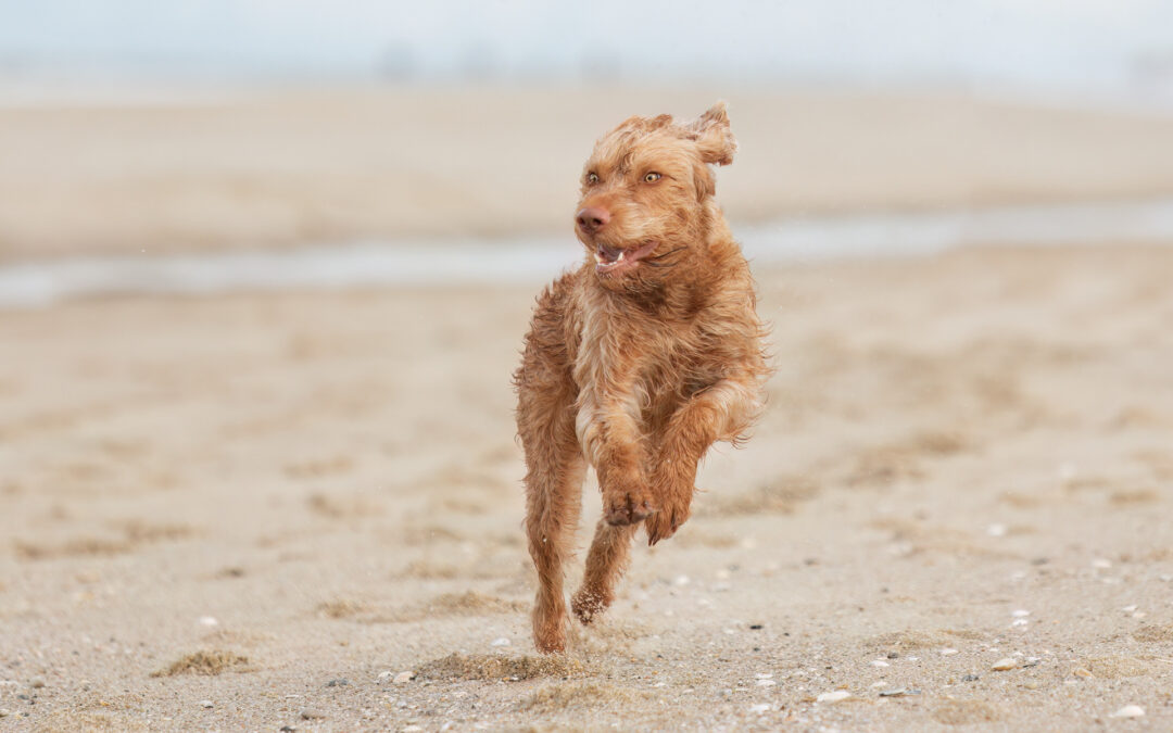 Was der Kunde nicht sieht