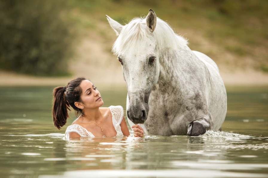 Schimmel mit Besitzerin stehen im Wasser