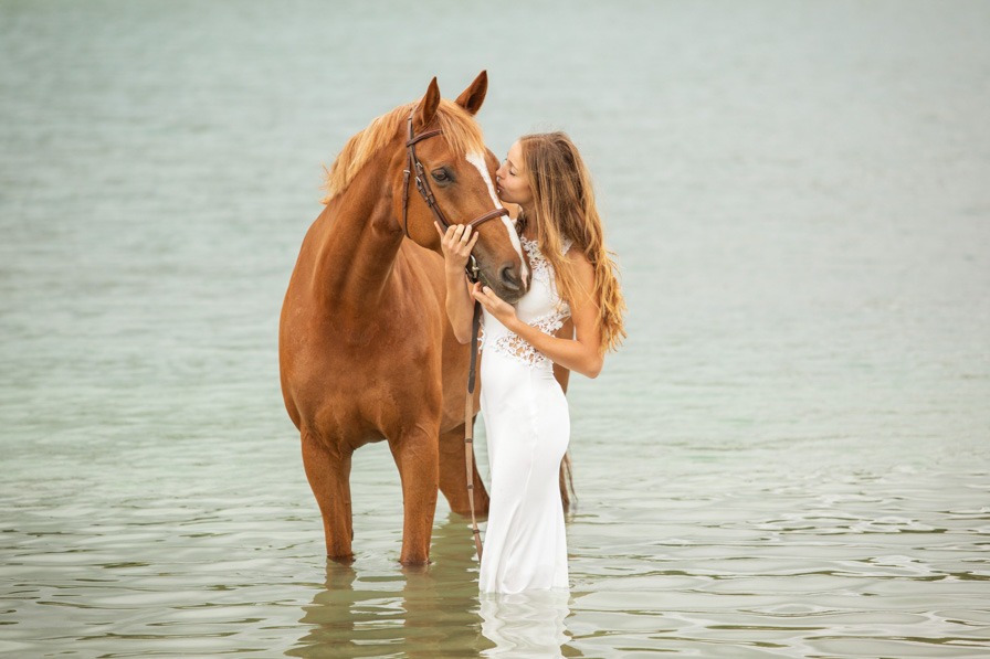 Pferd mit Besitzerin stehen im Wasser