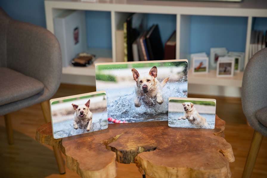 Fotoprodukt Bilder auf Holzblöcke aufgezogen