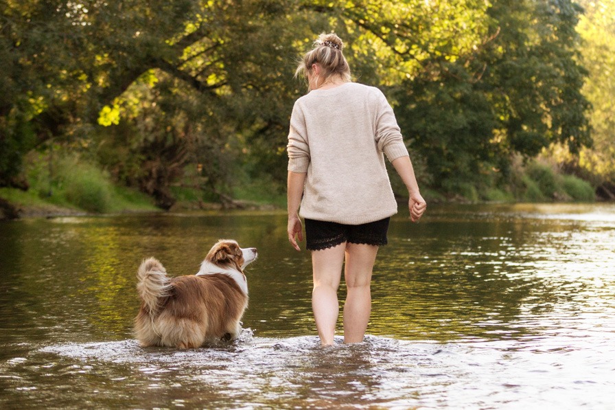 Hund und Frauchen laufen durch den Fluss bei einem Wassershooting im Sommer
