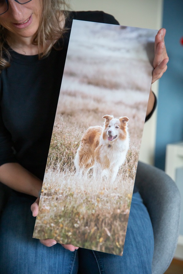 Aludibond Bild Janina Eberle Tierfotografie
