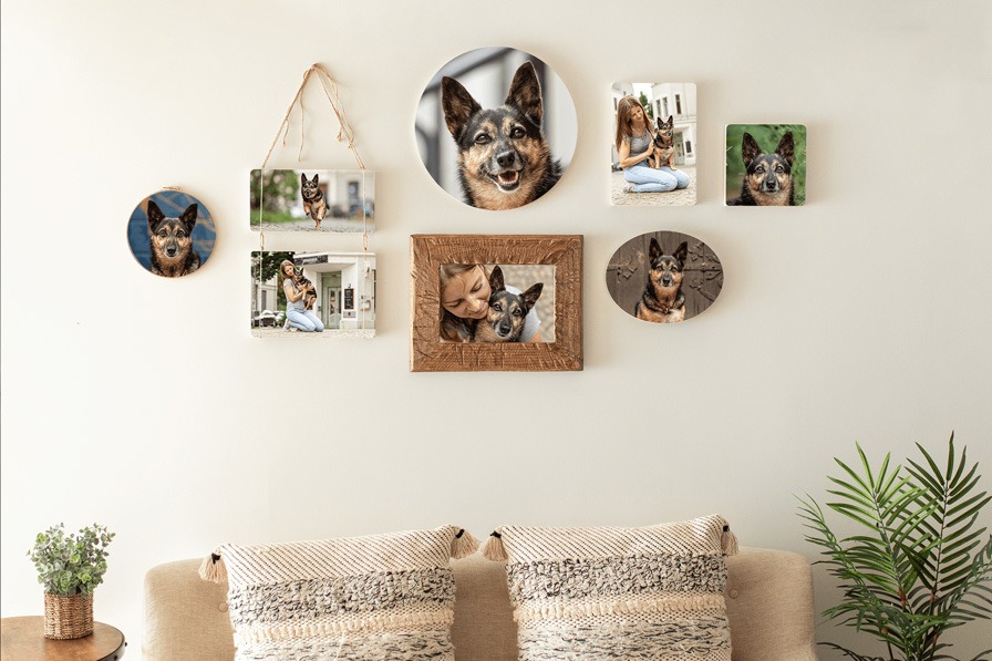 Bildergalerie Janina Eberle Tierfotografie