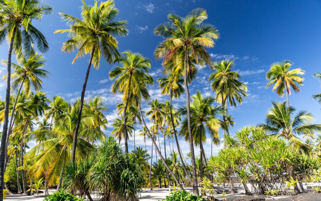 Hawaii – Big Island Teil 2