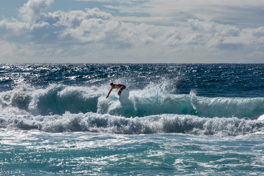 Hawai Oahu Veröffentlichung Janina Eberle Tierfotografie