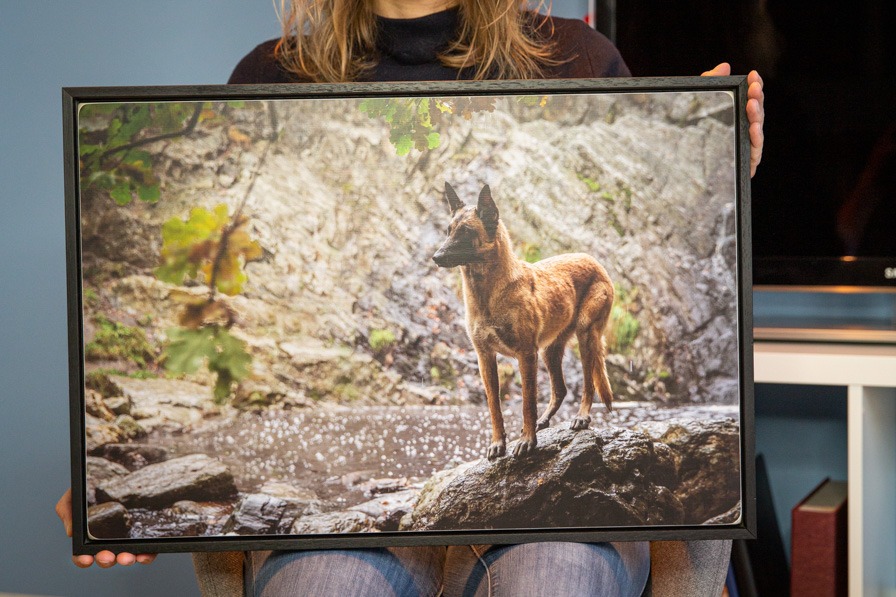 Holzbild mit Schattenfuge Unikat Janina Eberle Tierfotografie