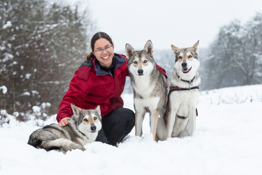 Frau mit drei Wolfshunden im Schnee Ehingen Donau