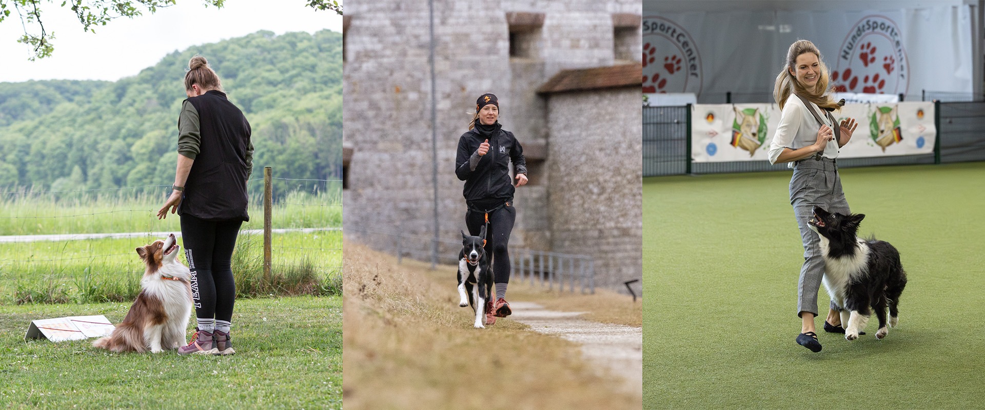 Hundesportturnier, Seminare Hundesport