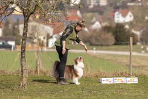 Teilnehmer mit Hunde bei einem Rally Obedience Seminar