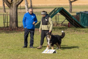 Teilnehmer mit Hunde bei einem Rally Obedience Seminar