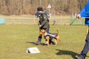 Teilnehmer mit Hunde bei einem Rally Obedience Seminar