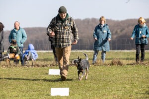 Teilnehmer mit Hunde bei einem Rally Obedience Seminar