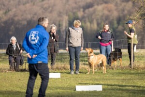 Teilnehmer mit Hunde bei einem Rally Obedience Seminar